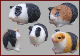 a028a guinea pig