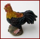 A089 Cockerel