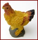 A091 Chicken