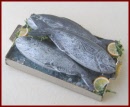SA190 Tray of Fish on Ice