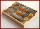 SA394 Tray of Fish on Ice