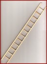 WW908 Ladder